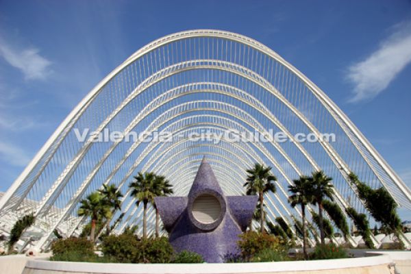 7638umbracle16B24563-4065-5164-126A-F43457E83148.jpg